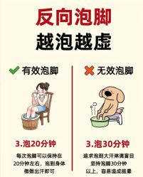 -Fundi张玉珊修身堂·indiba·BTL科技瘦身