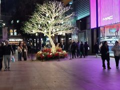 -纳鲁孜·新疆特色餐厅(上海悦荟广场店)