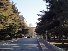 -中央民族大学