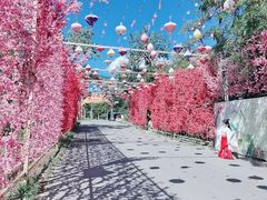 -北京凤凰岭