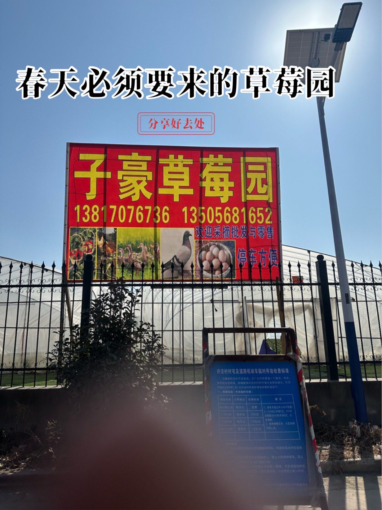 春天必须要来的草莓园