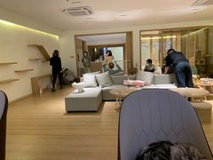 -猫腻·猫咖·撸猫馆(星光大道店)