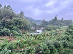 -天强农家菜馆