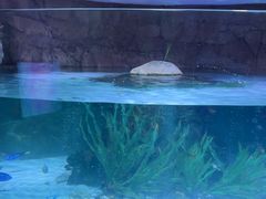 -沈阳海洋探索中心