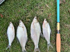 -蓝天路(地铁站)