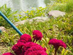 -宁波儿童公园(鄞州区)