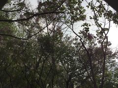 -北京稻香村(花市店)
