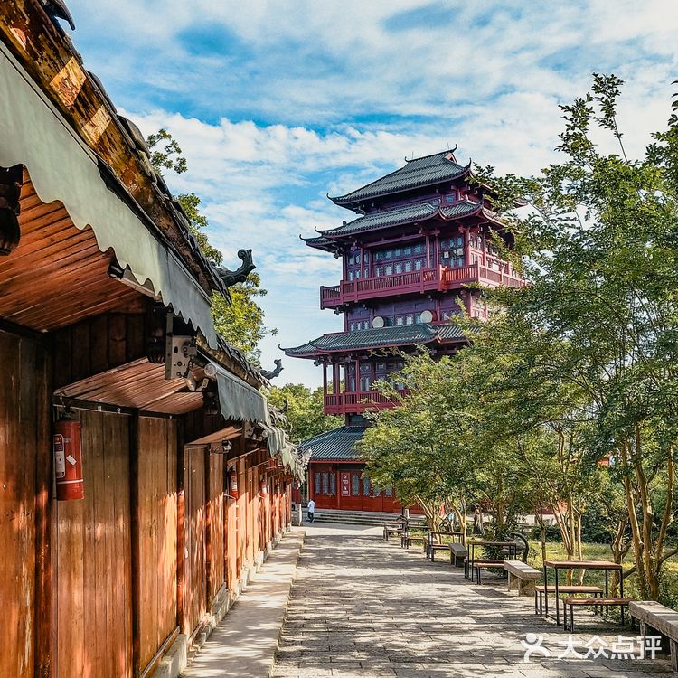 张家界国家森林公园·零基础上手轻松玩转😁