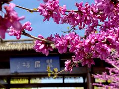 -石湖景区