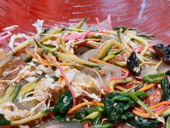 东北贼传统蔬菜大拉皮-东北人·东北菜(天河店)