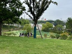 -凤城河风景区