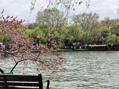 -西湖天地