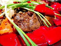 -四小区火锅·巷子里的重庆火锅(花照壁店)