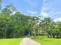 -中国科学院西双版纳热带植物园