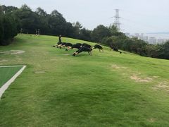 -青龙山公园