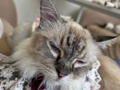 -怪兽屋·羊驼·猫咖·狗咖(俊华广场店)