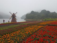 -广州市石门国家森林公园