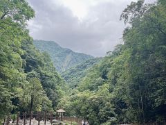 -西岭雪山大飞水景区
