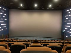 -纵横国际影城杜比全景声巨幕(天安云谷店)