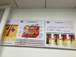-章光101防脱养发荟