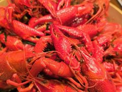 高压锅小龙虾-蚝魁竹笼蒸生蚝 余杭店