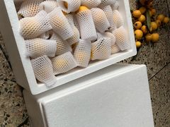 -塘栖枇杷特色园区