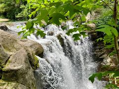-广州市白云山风景名胜区