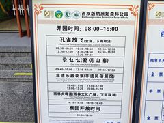 -西双版纳原始森林公园