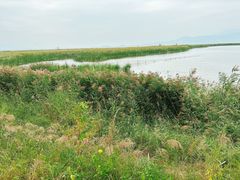 -野鸭湖国家湿地公园