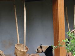 -云南野生动物园