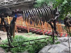 -中国第四纪冰川遗迹陈列馆