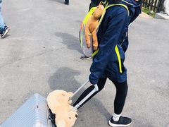 -IKEA宜家家居(南京商场)