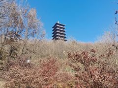 -大伊山景区