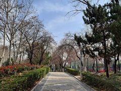 -西安市长乐公园