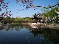 -无锡蠡湖国家湿地公园-蠡园