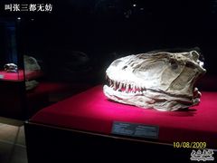 -自贡恐龙博物馆