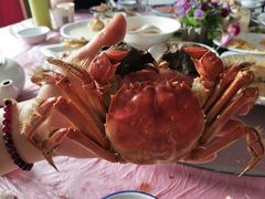 -小陆莲花蟹园农家乐(莲花岛店)