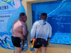 -秦皇岛乐岛海洋王国