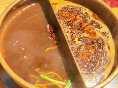 -东道煮牛肉火锅(东盛大街店)