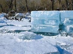 -长春市南湖公园