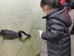 -两江国际影视城
