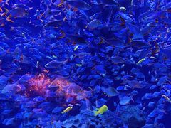 -成都浩海立方海洋公园