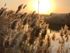 -盐城丹顶鹤湿地生态旅游区