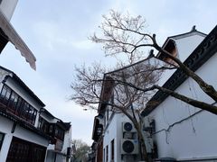 -枫桥景区