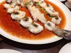 -甄御•海鲜新青岛菜(麦岛店)