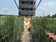 -河北村民俗体验园