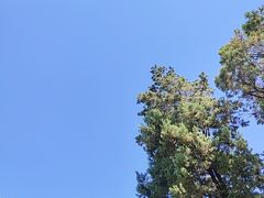 -木王宴语·野生鲜菌火锅(玉河店)