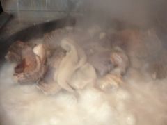 羊肉汤-三义和酒楼(广渠门店)