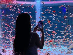 -海合安成都极地海洋公园