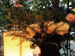 -春暖花开(西溪店)